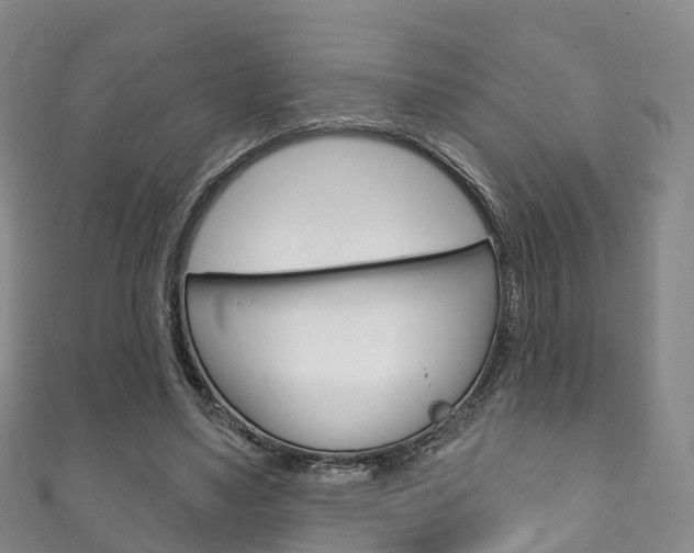 X0000111930491200907271033