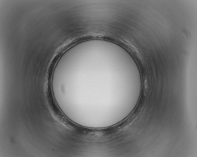 X0000111930492200907271033