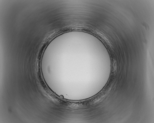 X0000111930494200907271033