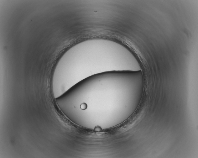 X0000111930497200907271033