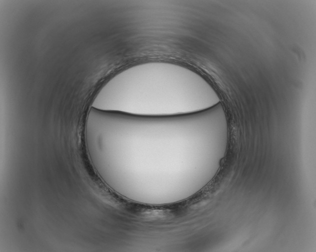 X0000111930499200907271033