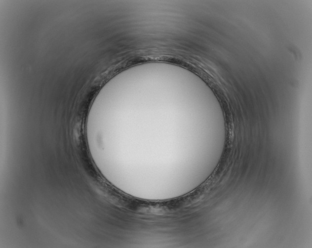 X0000111930503200907271033