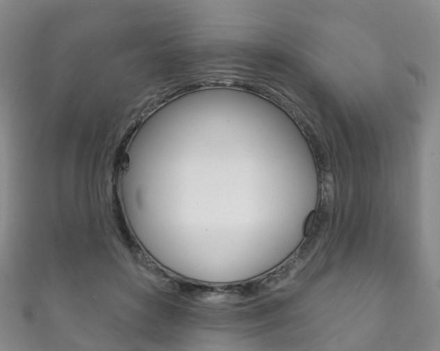 X0000111930504200907271033