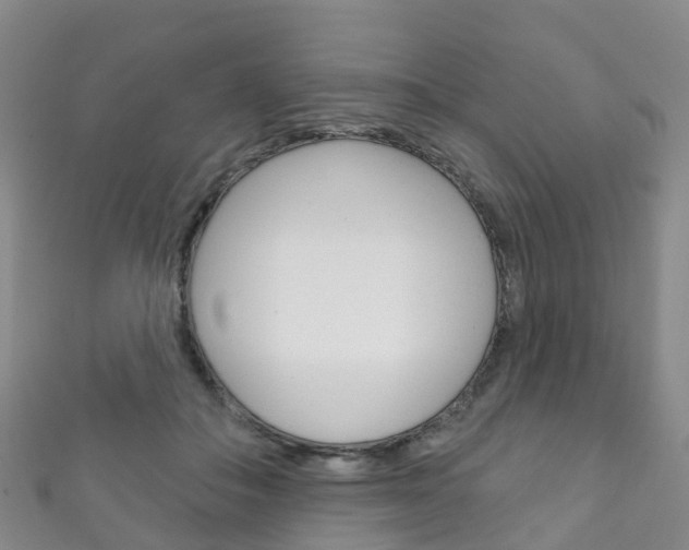 X0000111930506200907271033