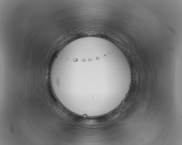 X0000111930507200907271033