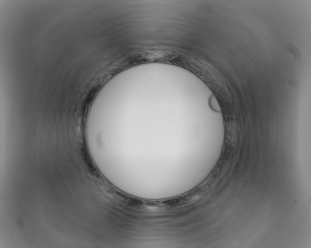 X0000111930510200907271033