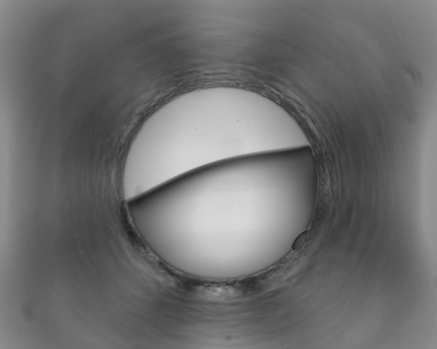 X0000111930512200907271033