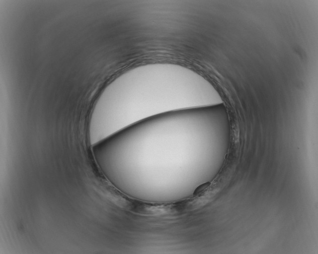 X0000111930516200907271033