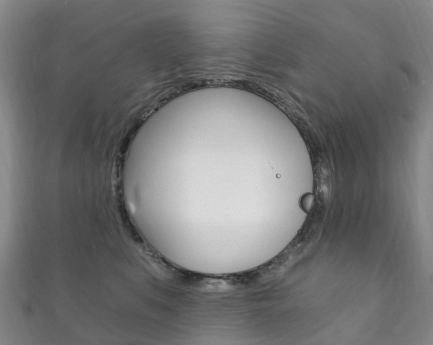 X0000111930519200907271033