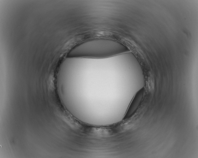 X0000111930520200907271033