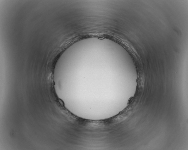 X0000111930521200907271033