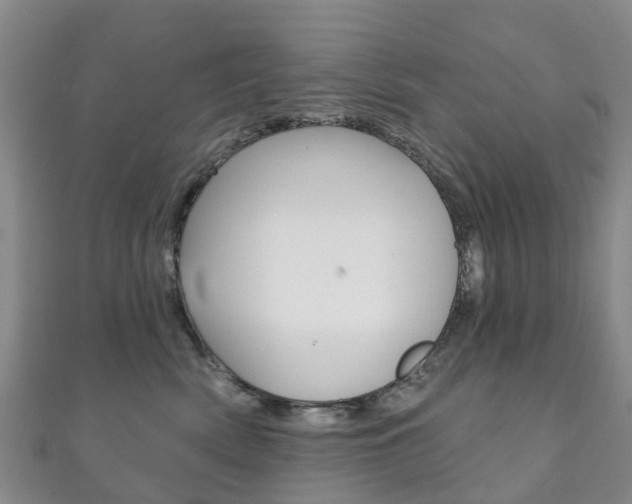 X0000111930522200907271033