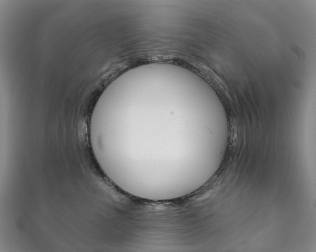 X0000111930523200907271033