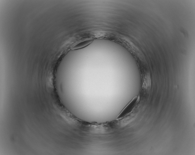 X0000111930524200907271033