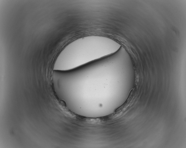 X0000111930525200907271033