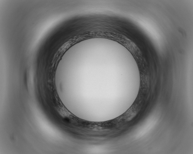 X0000111930526200907271033