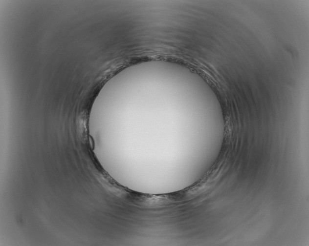 X0000111930527200907271033