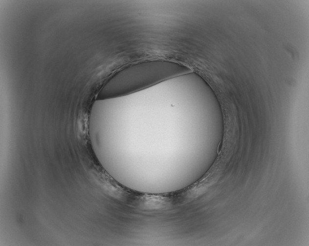 X0000111930528200907271033