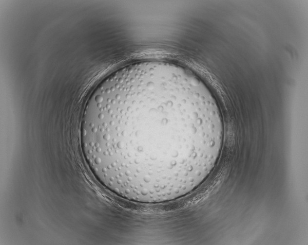 X0000111930529200907271032
