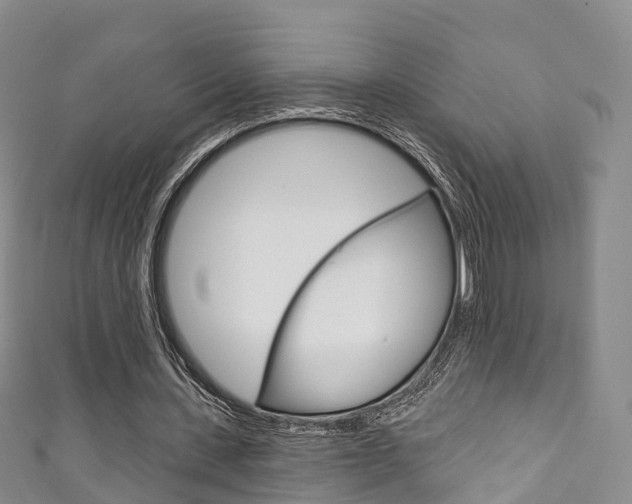X0000111930531200907271032