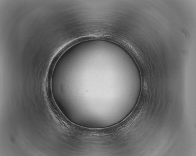 X0000111930532200907271032