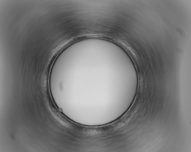 X0000111930533200907271032