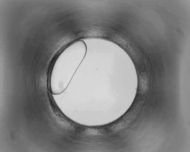 X0000111930534200907271032