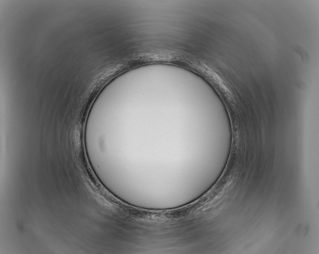 X0000111930537200907271032