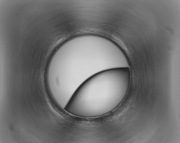 X0000111930538200907271032