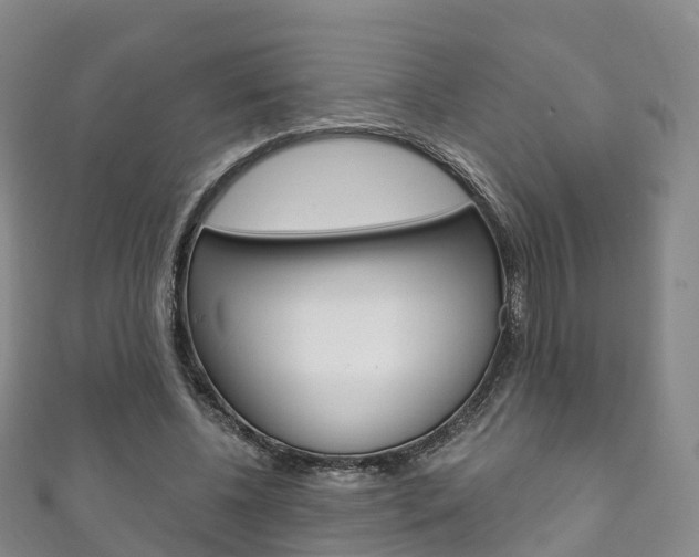 X0000111930540200907271032