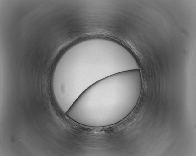 X0000111930543200907271032