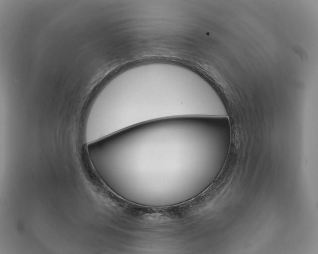 X0000111930544200907271033