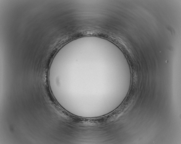 X0000111930545200907271033