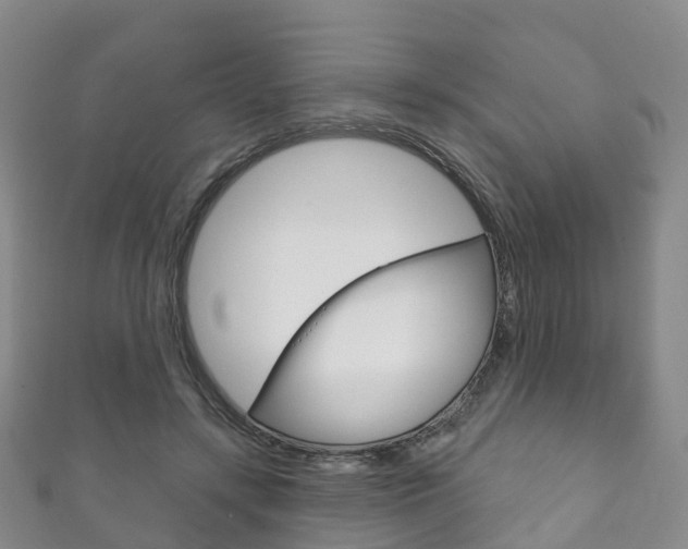 X0000111930547200907271033