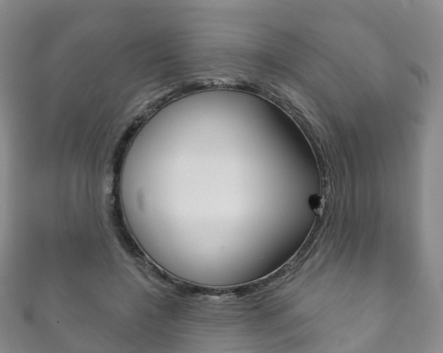 X0000111930548200907271033