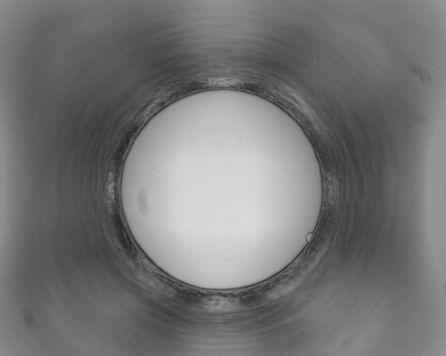 X0000111930549200907271033