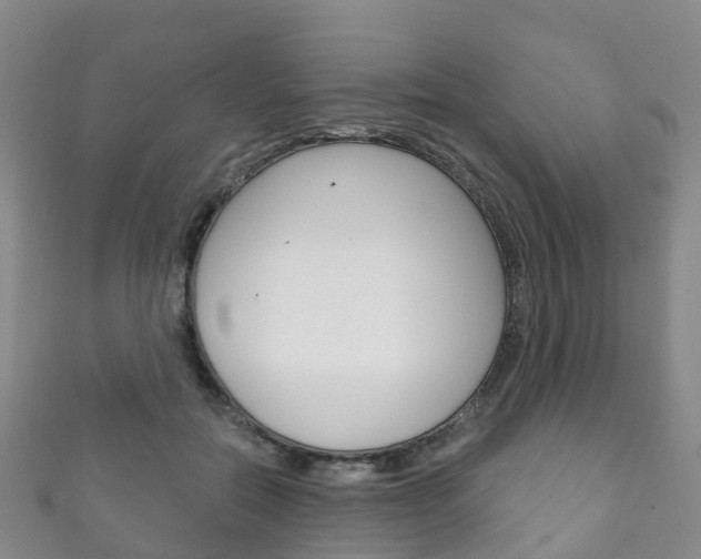 X0000111930554200907271033