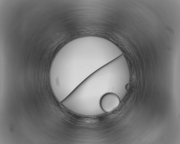 X0000111930555200907271033