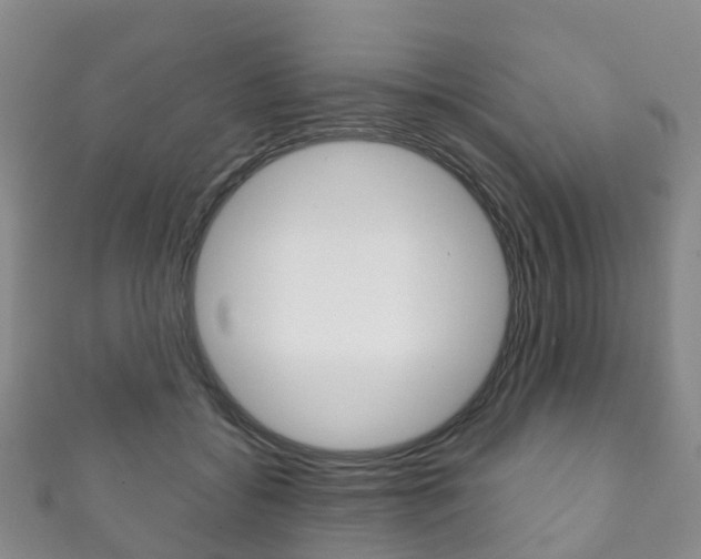 X0000111930556200907271033
