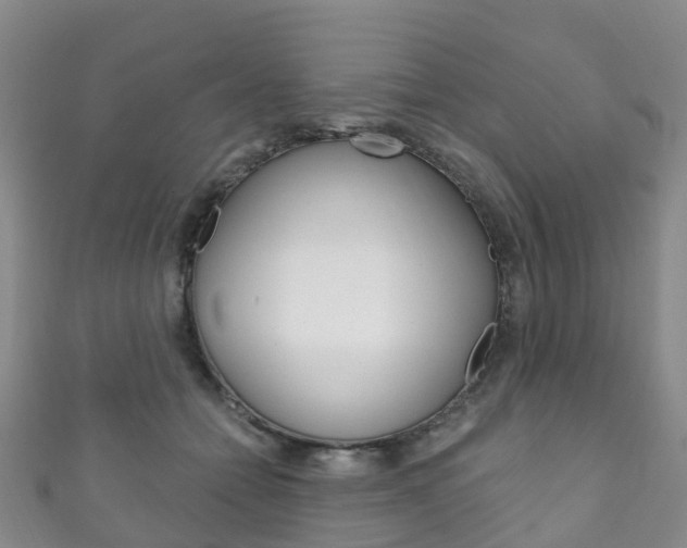 X0000111930558200907271033