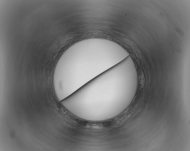 X0000111930559200907271033