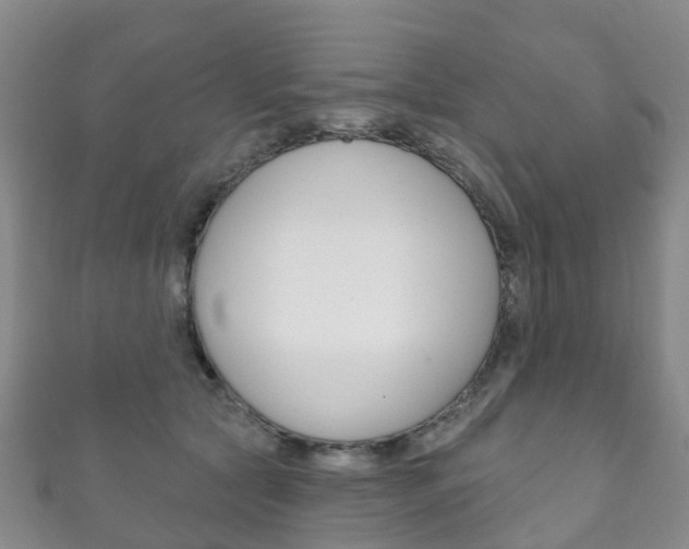 X0000111930561200907271033
