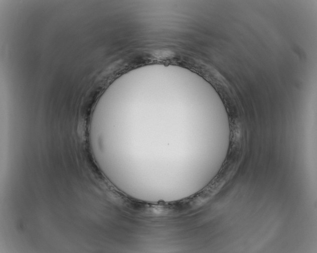 X0000111930565200907271033
