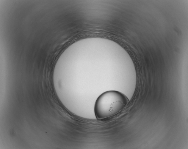 X0000111930566200907271033