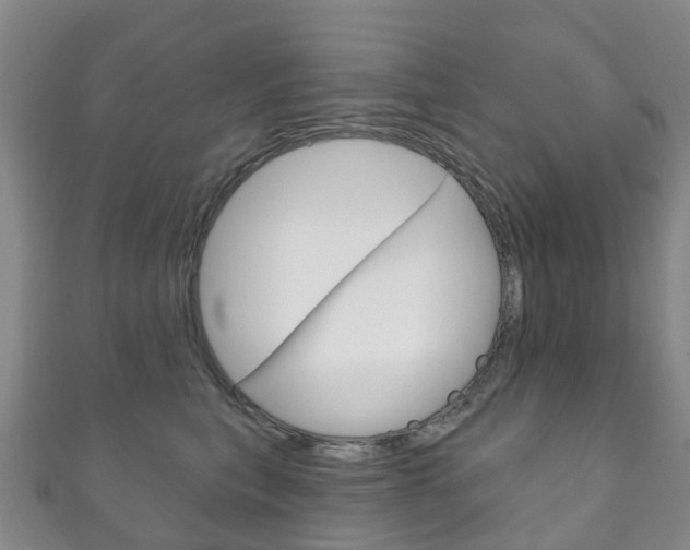 X0000111930567200907271033