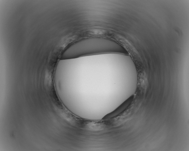 X0000111930568200907271033