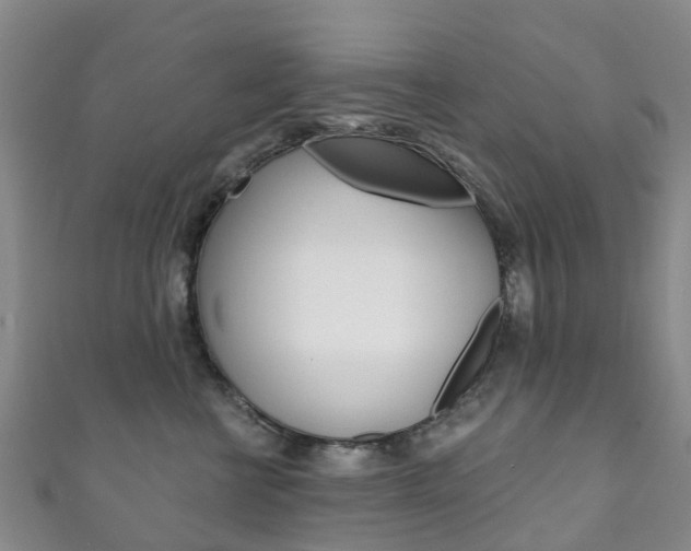 X0000111930570200907271033