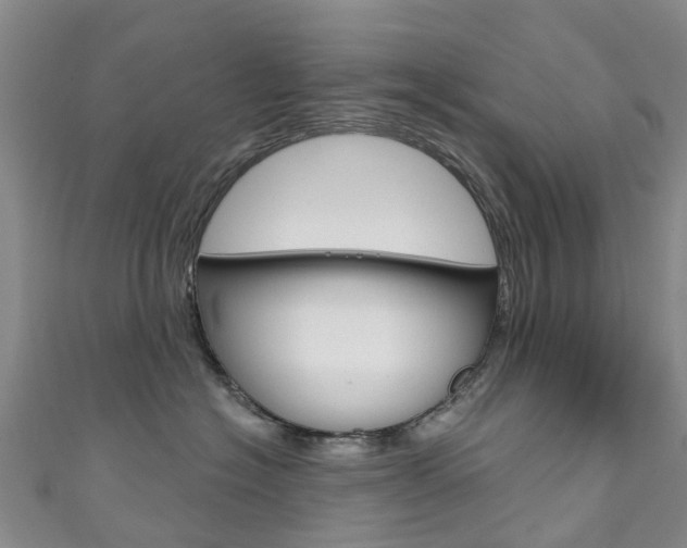 X0000111930574200907271033