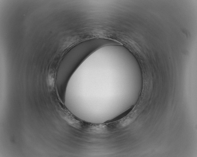 X0000111930576200907271033