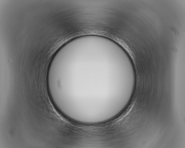X0000111930577200907271032